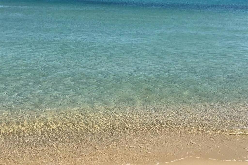 2 Bedrooms, 15 Min Walk To Beach, Ac, Pool & Fiber Internet In A Quiet, Private Gated Domain 5Kms To St Tropez Cogolin Kültér fotó