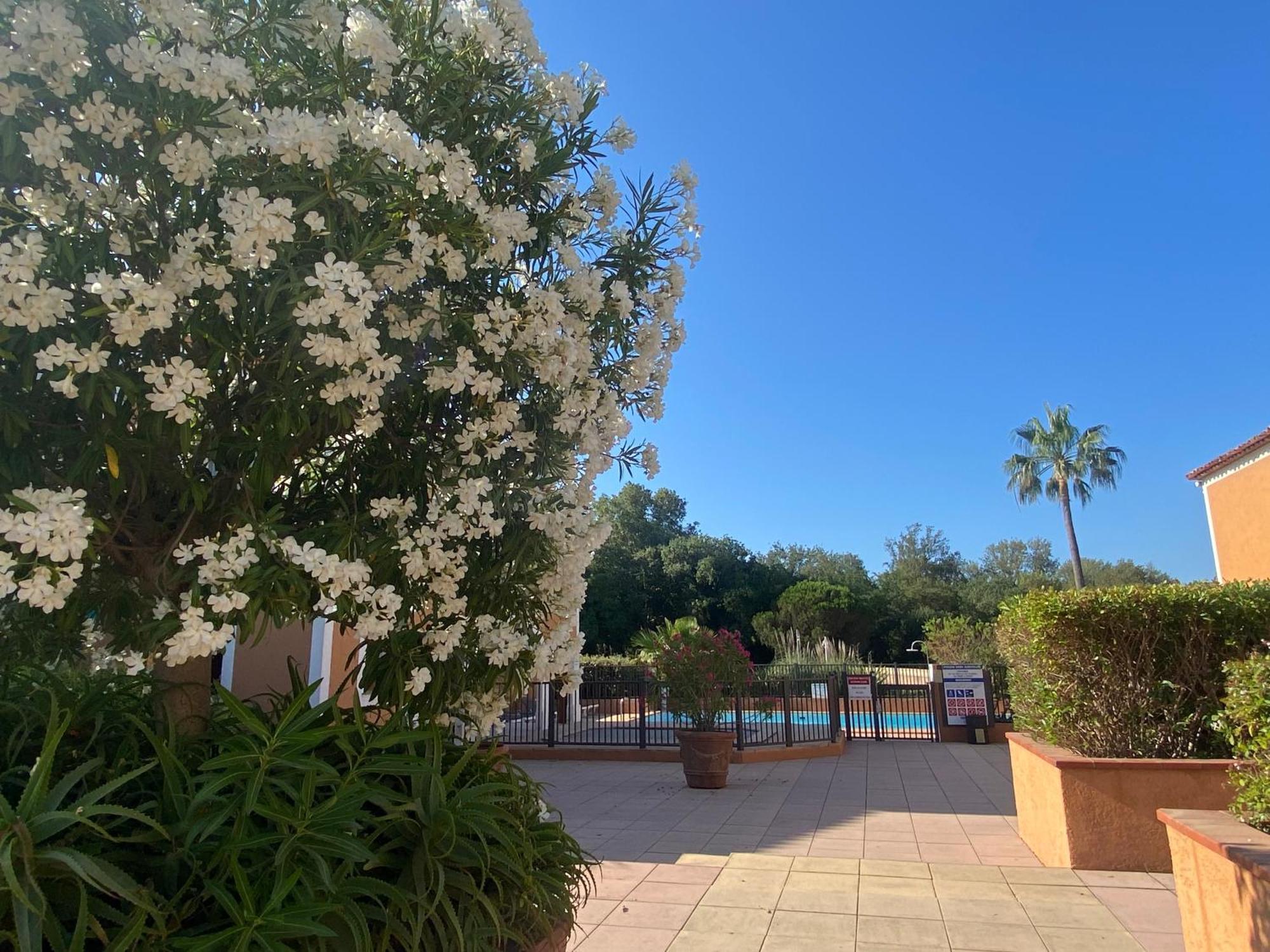 2 Bedrooms, 15 Min Walk To Beach, Ac, Pool & Fiber Internet In A Quiet, Private Gated Domain 5Kms To St Tropez Cogolin Kültér fotó